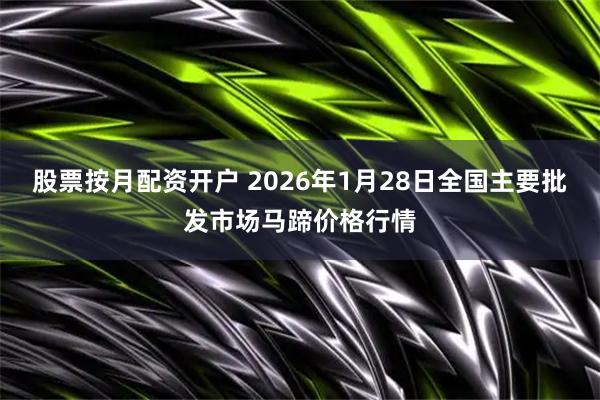 股票按月配资开户 2026年1月28日全国主要批发市场马蹄价格行情