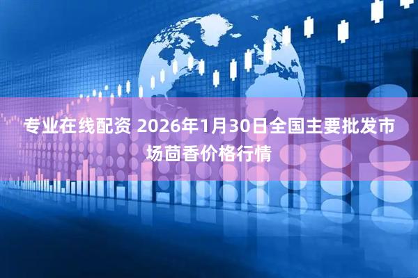专业在线配资 2026年1月30日全国主要批发市场茴香价格行情